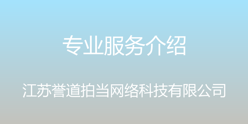 专业服务介绍 - 江苏誉道拍当网络科技有限公司